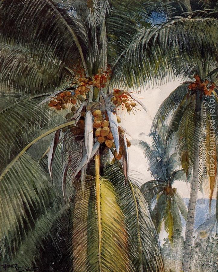 Winslow Homer : Coconut Palms, Key West